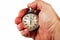 Hand of a sports coach with a stopwatch, white background