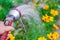 A hand with spray gun, watering a yellow flowers