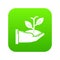 Hand sprout icon green vector