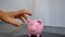 Hand stealing money from piggy bank, unhealthy saving