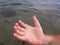 a hand sticks out of the water. a drowning man asks for help. rescue of drowning people. sea currents. rescue on the