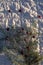 Hand-stitched quilt and pine branch with red cranberries Christmas background