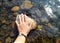 Hand on the  stone in Baltic sea, Suomenlinna, Finland