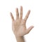 Hand symbol showing the five fingers isolated on a white background
