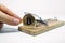 A hand that takes a coin of bitcoin from mousetrap.