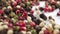 A hand takes a peppercorn from a pile of brightly colored pepper seeds.