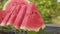 Hand taking red watermelon slice from a plate