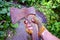 A hand in a tattered glove holds a rusty ax against a background of greenery