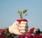 In hand there are palm leaves. Dubai Miracle Garden.