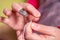 A hand with thimble knotting and cutting a thread on a needle in a sewing session