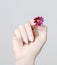 Hand with tiny pink daisy flower