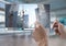 Hand touching glass tablet City Video Player Architecture App Interface