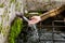 Hand touching water from a natural fountain