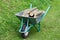 Hand truck with firewood on the grass