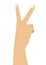 Hand with two fingers up in peace or victory symbol the sign for V letter in sign language