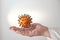 Hand under a tangerine with cloves, which looks like a coronavirus, but vitamins strengthen the immune system and cloves have a