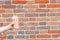 The hand of an unidentified young man holds in his hands a milky fruit berry cocktail against a brick wall with copy