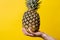 Hand of unknown woman holding pineapple - female hold fresh fruit on bright yellow background - healthy eating and diet modern