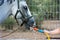 Hand Use a Hose to Quench Thirst a Horse after Training