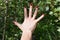 Hand view with red nail polish on green plants background