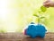 Hand and watering can, Sprout growing on colorful piggy bank on nature background