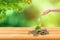 Hand watering green sprout tree growing on stack of coins with green trees and sunlight in background.