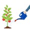 Hand watering money fruit tree with can.