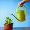 Hand watering a plant