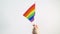 Hand waving gay or lgbt pride rainbow colored flag