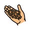 hand wheat grain harvest color icon vector illustration