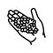 hand wheat grain harvest line icon vector illustration