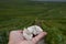 Hand with white chalk stones from Cote des Blancs near Cramant, region Champagne, France and view on grand cru vineyards