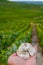 Hand with white chalk stones from Cote des Blancs near Cramant, region Champagne, France and view on grand cru vineyards