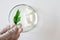 Hand in white protective glove holding plant leaf. Glass petri dish with pills on background, top view