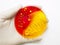 Hand in white rubber glove holding a petri dish on a white background