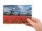 Hand and Windmills and flowers in Netherlands my photo