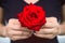 Hand of woman give a red rose. Valentine`s Day