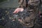 Hand of woman hiker holding frozen volcanic lava stone, closeup