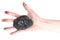 Hand of woman holding coal lump on white background