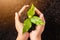 Hand of woman holding compost fertile black soil with nurturing tree growing