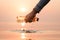 Hand Woman picking up empty of plastic bottle cleaning on the beach , volunteer concept. Environmental pollution. Ecological