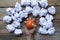 Hand of a woman squeezing a stress ball with crumpled paper