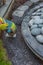 Hand with work glove arranging gritting material and basalt cobblestones into the curb of a garden fountain