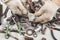 Hand of worker in gloves with wrench to tighten the nut