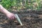 Hand works the soil with garden tool.