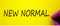 Hand writing `new normal`, isolated on yellow background. Business and post-pandemic concept