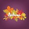 Hand written calligraphic word Autumn against bunch of colorful fallen tree leaves and branches on background. Gorgeous