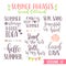 Hand written summer lettering phrases