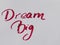 Hand written text Dream big on white paper