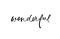 Hand written word Wonderful, black vector text.